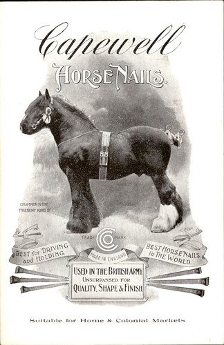 Cartolina capewell horse nails - horse,